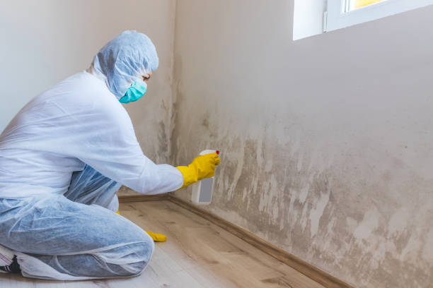 Licensed Mold Removal service in Hillsborough, NJ - 24 Hour Mold Removal