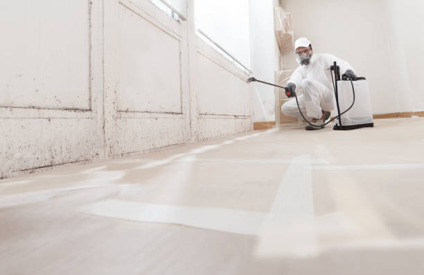 24/7 Emergency Mold Removal experts in Hillsborough, NJ