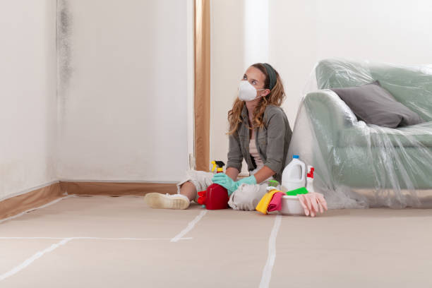 Reliable Mold Removal contractor in Hillsborough, NJ by 24 Hour Mold Removal